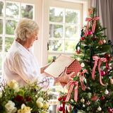 Christmas Goodies Gift Box